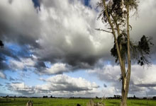 卡塔尔对阵伊朗，这场西亚足球对决有哪些看点？